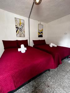 危地马拉CASA MAGNOLIA的红色床单的客房内的两张床
