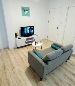 阿尔巴塞特Nórdico -Apartamentos Birdie-的带沙发和电视的客厅