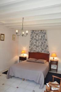 Villefranche-Sur-CherLa Petite Tuilerie的一间卧室配有一张大床和两盏灯。
