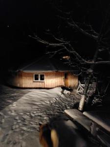 贝阿滕贝格Einzigartige Holzhütte的雪中木舱,有树