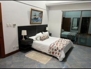 哥伦比亚港Porto Bello Hotel Boutique的一间卧室配有一张大床和镜子