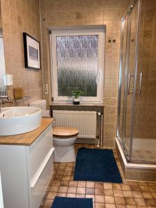WiltingenHaus Rosenberg的浴室配有盥洗盆、卫生间和淋浴。