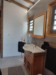 勒卡尔贝VillAnolis Martinique的一间带水槽和镜子的浴室