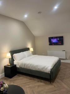 都柏林Attic Room in Citywest的卧室配有一张床,墙上配有电视。