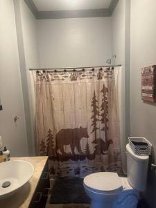 恩特普赖斯Local With a Side of Cozy的一间带熊式淋浴帘和卫生间的浴室