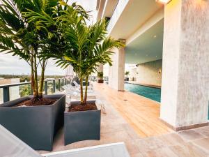 迈阿密Smart Brickell Hotel的两棵棕榈树,在楼房的地板上