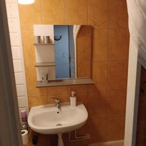克莱蒙费朗l'HYPERCENTRE的一间带水槽和镜子的浴室