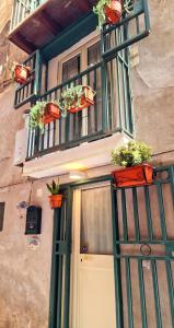 那不勒斯Maison Zazà Naples的一座带门的房子和一座种植了盆栽植物的阳台