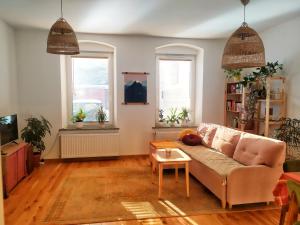 耶德利纳-兹德鲁伊Apartament Borówka的带沙发和2扇窗户的客厅