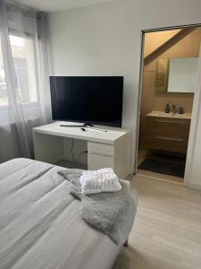 布雷斯特Chambre double balcon vue mer的一间卧室配有一张床、一台电视和一面镜子