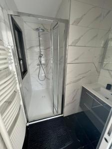 布雷斯特Chambre double balcon vue mer的一个带盥洗盆的浴室内的淋浴间