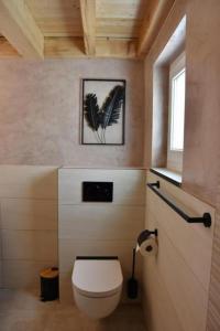 赛尼厄莱吉耶Unterkunft la maisonette的浴室设有卫生间,并展示了羽毛图案。