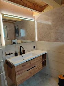 赛尼厄莱吉耶Unterkunft la maisonette的一间带水槽和镜子的浴室