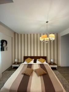波亚纳布拉索夫Luxury Apartment Silver Mountain Vue的一间卧室配有一张大床和两个枕头