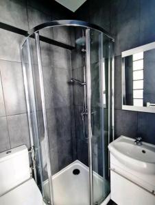 让蒂伊Appartement Charme petite terrasse à 400m de Paris的带淋浴、卫生间和盥洗盆的浴室