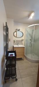 维尔克姆拉马拉Apartamenty na Poludniowym Stoku的带淋浴、盥洗盆和镜子的浴室
