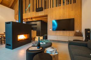 奥斯特拉维采河畔弗里德兰特Aparthouse Lubno的客厅设有壁炉和电视。
