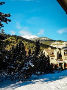 潘诺拉马Cozy apartment in the heart of Panorama的一座有树木和山的雪地建筑