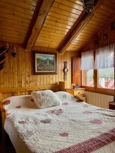 巴多尼奇亚Stella Alpina, in Via Medail con vista incantevole sulle Alpi的小屋内一间卧室,配有一张大床