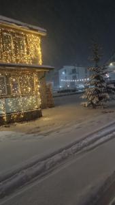 BogëVilla Giti的灯火通明的房子前的圣诞树