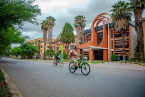 塔里哈Hotel Viña del Sur的两个人骑着自行车沿着棕榈树的街道