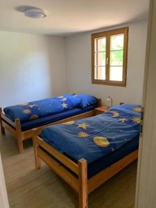 菲茨瑙Thal - b48769的配有两张床铺的蓝色床单和窗户