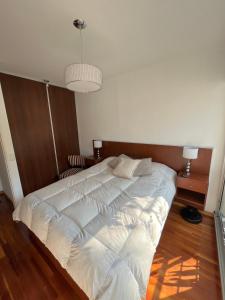 布宜诺斯艾利斯Departamento Premium en Belgrano con Pileta的卧室配有一张白色大床