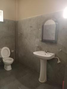 坦加拉Appu Villa的一间带卫生间、水槽和镜子的浴室