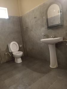 坦加拉Appu Villa的一间带水槽、卫生间和镜子的浴室