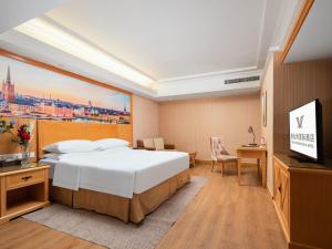 武汉维也纳酒店武汉解放大道店的一间酒店客房,配有一张床和一台电视