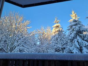莫济列Family House的从窗户可欣赏到雪覆盖的树木景色