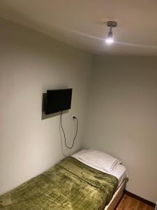 圣地亚哥Hostal low cost的卧室配有一张床和壁挂式平面电视。