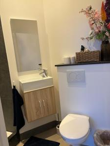 阿姆斯特丹Lovely small apartment in 'De Pijp'的一间带卫生间、水槽和镜子的浴室