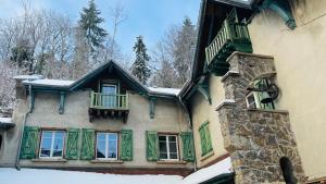YzeronVilla Les Roches d'Yzeron的一座有绿色百叶窗的房子,上面有雪