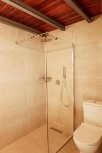 卡尔利拉基Annousa's House & Studios的浴室设有玻璃淋浴间和卫生间
