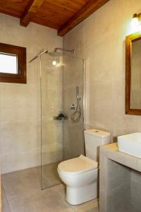 卡尔利拉基Annousa's House & Studios的一间带卫生间和玻璃淋浴间的浴室