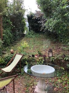 凡尔赛Maison familiale et lumineuse avec jardin的花园中的鸟浴和椅子