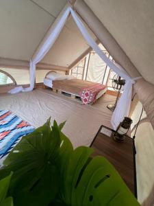 万挠De Kampung Campsite的带帐篷、床和桌子的客房
