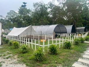 万挠De Kampung Campsite的田野上带帐篷的白色围栏