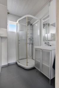 海宁格松Cozy 2-Bedroom Apartment - Free Parking的带淋浴和盥洗盆的白色浴室