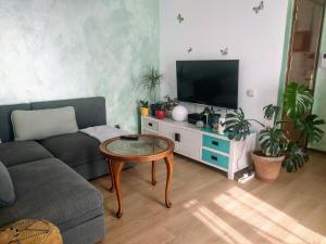 埃斯普卢加·德·隆布雷格Ático Soleado的客厅配有沙发和植物桌子