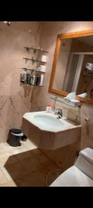 吉达ديار البحر的一间带水槽、卫生间和镜子的浴室