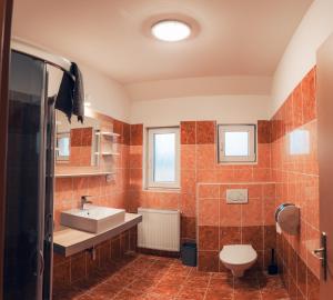 Kněževes玛什塔利酒店的一间带水槽、卫生间和淋浴的浴室