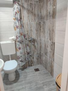 尼什Apartmani Hub的一间带卫生间和淋浴的浴室