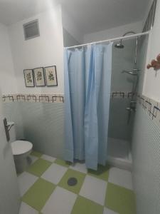 Sevilla La NuevaQUINTA Da BOTICA的带淋浴帘和卫生间的浴室