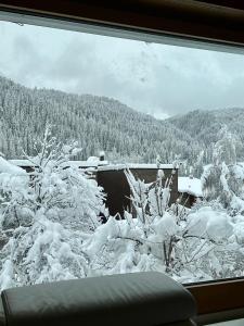 施库尔Chasa Stefania mit rundum Bergblick und Garten的从窗户可欣赏到积雪覆盖的森林景色