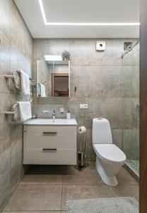 考纳斯Riverfront 1BD Old Town Apartment by Hostlovers的一间带卫生间、水槽和镜子的浴室