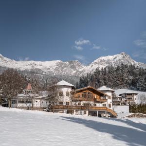 凯撒山麓舍福Hotel Leitenhof 4 Sterne Superior的山地雪地度假村