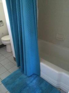 新肖雷汉姆The Harbourview Guest House & Cottages的浴室配有蓝色的浴帘和卫生间