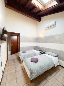 克雷马Piccinardi house - appartamento 4 posti letto的带天窗的客房内的两张床